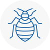 Bed Bug Extermination In Hyde