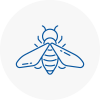 Bee Nest Removal Hyde
