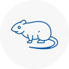 Rat Control Hyde