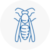 Hyde Wasp Nest Removal